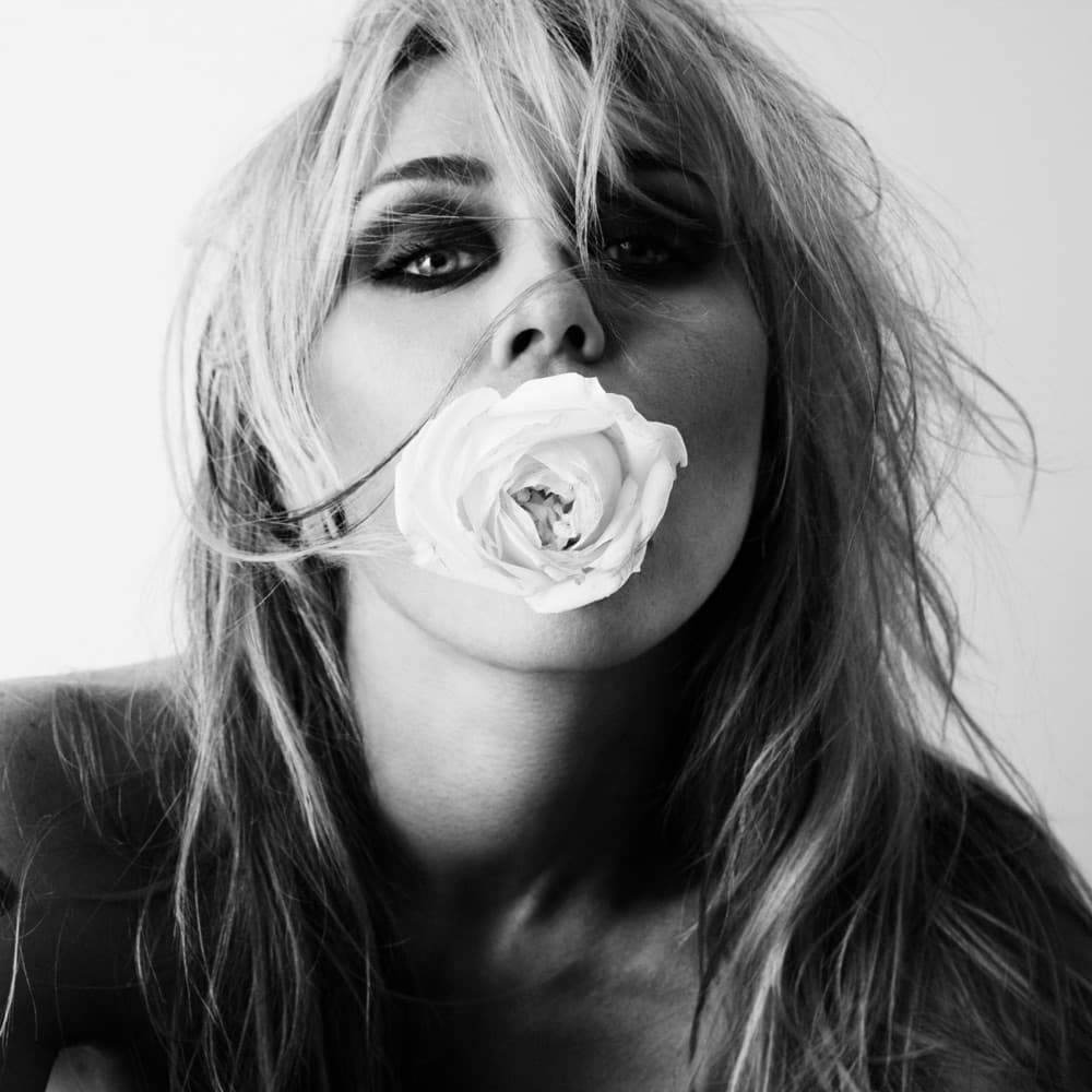 Bass Persuades - Miley Cyrus