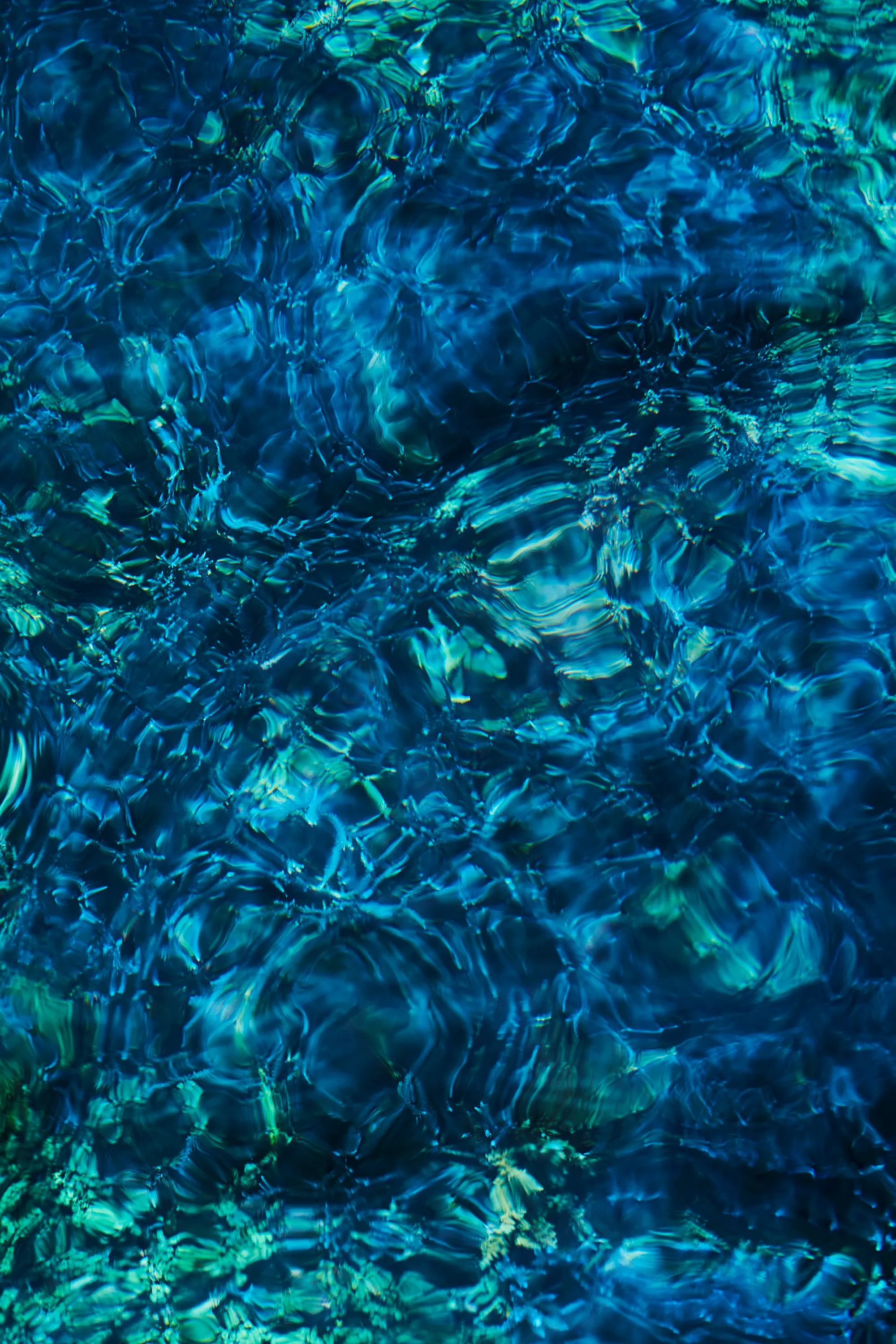 Luminescent Creatures – Ichiko Aoba