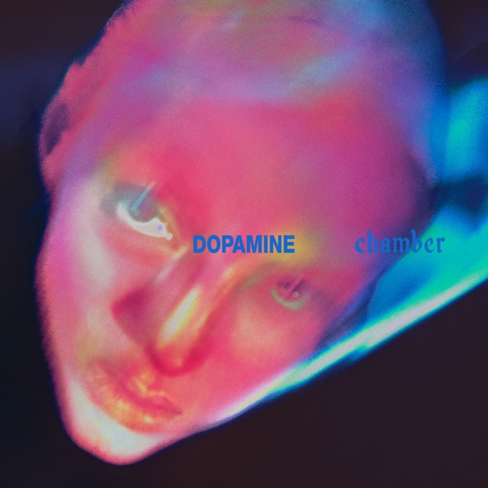 Dopamine Chamber - Fontaines D.C.