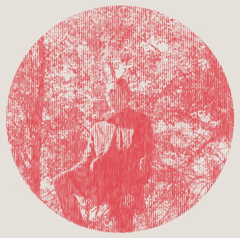 Curado por Silvana: Heartland - Owen Pallett