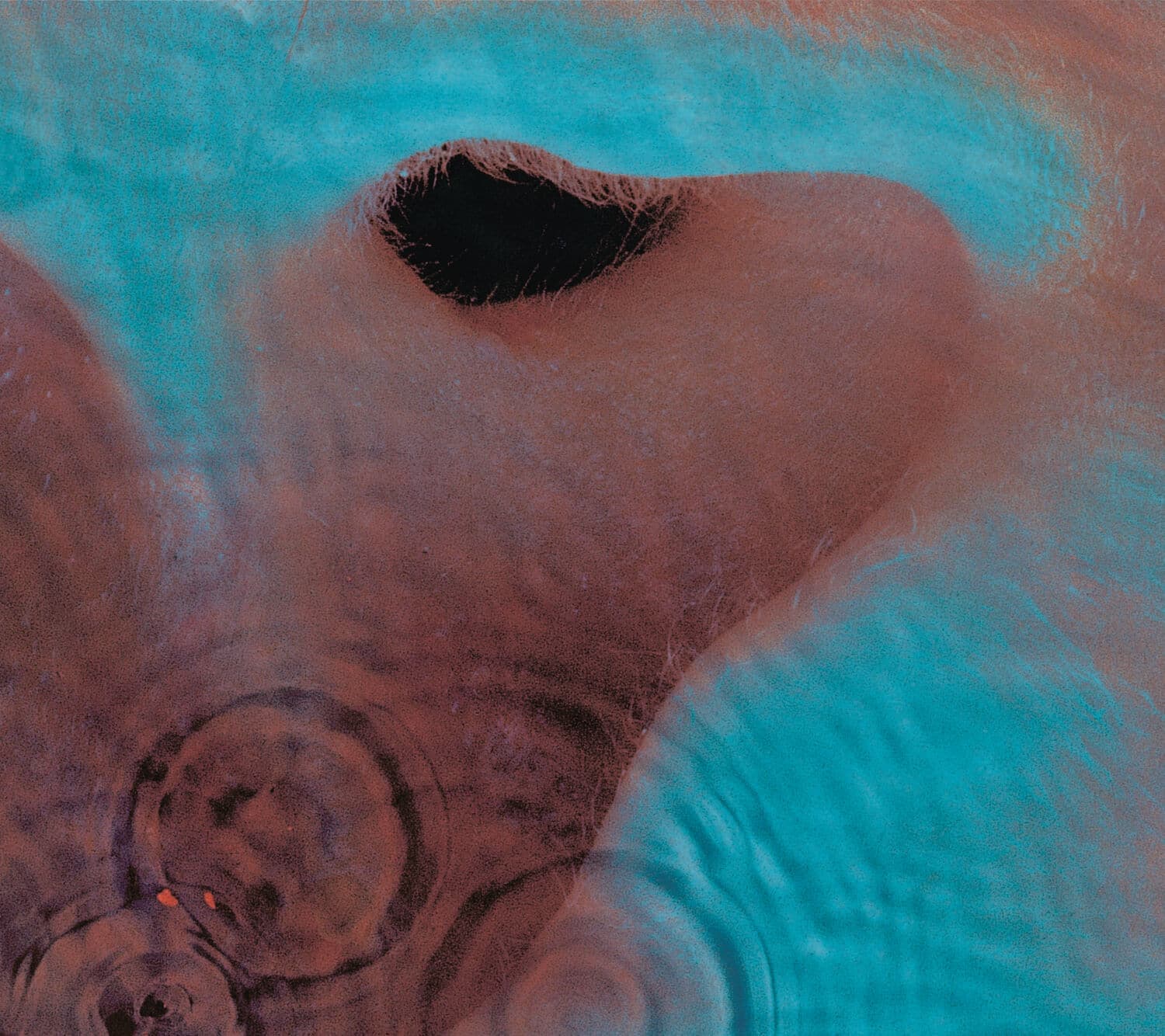 Meddle - Pink Floyd