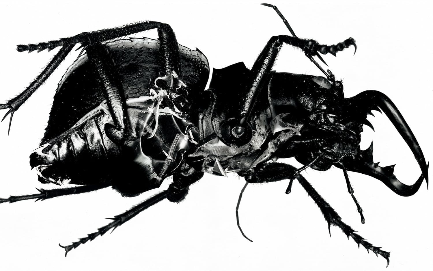 Mezzanine - Massive Attack