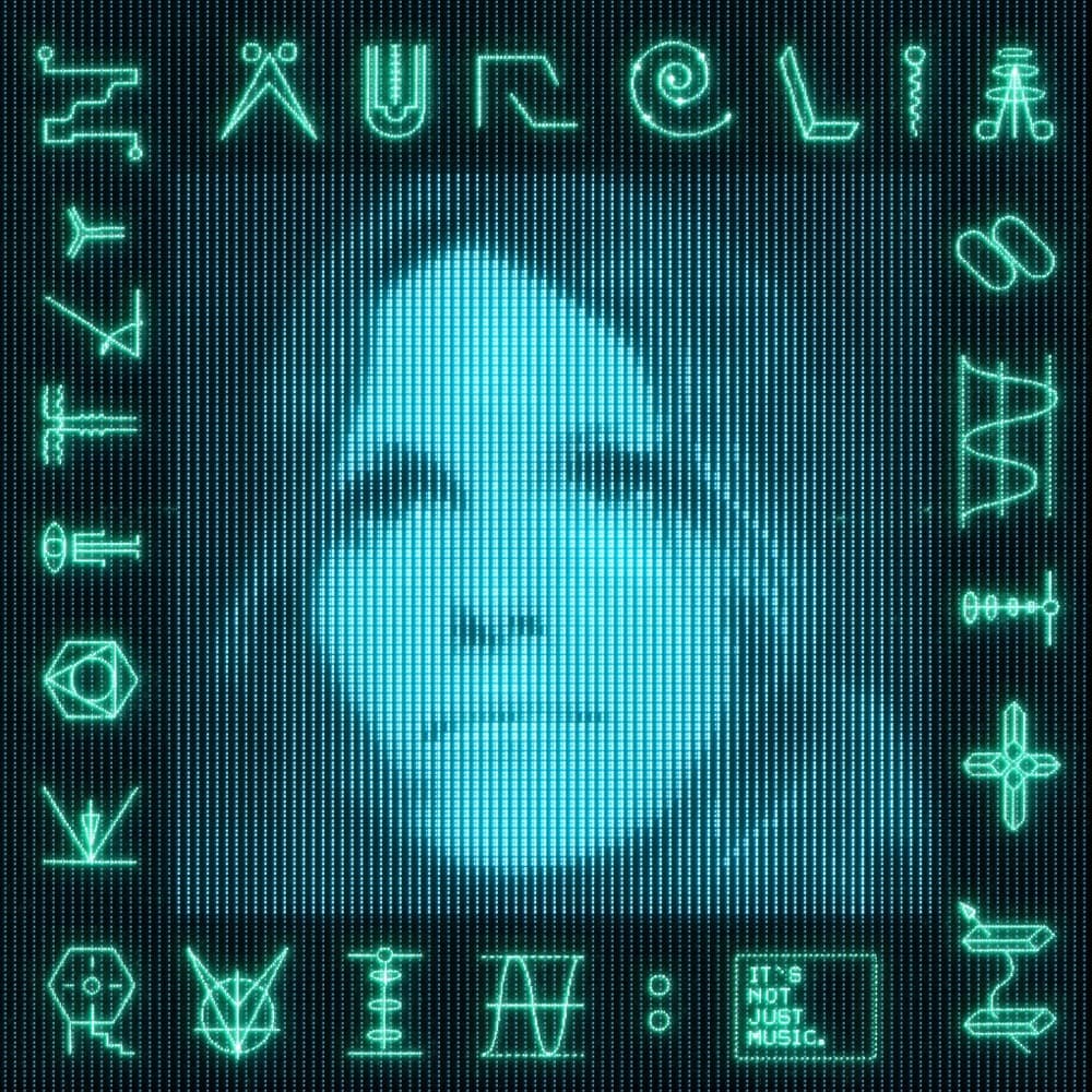 RUIN: It's Not Just Music - Kaitlyn Aurelia Smith