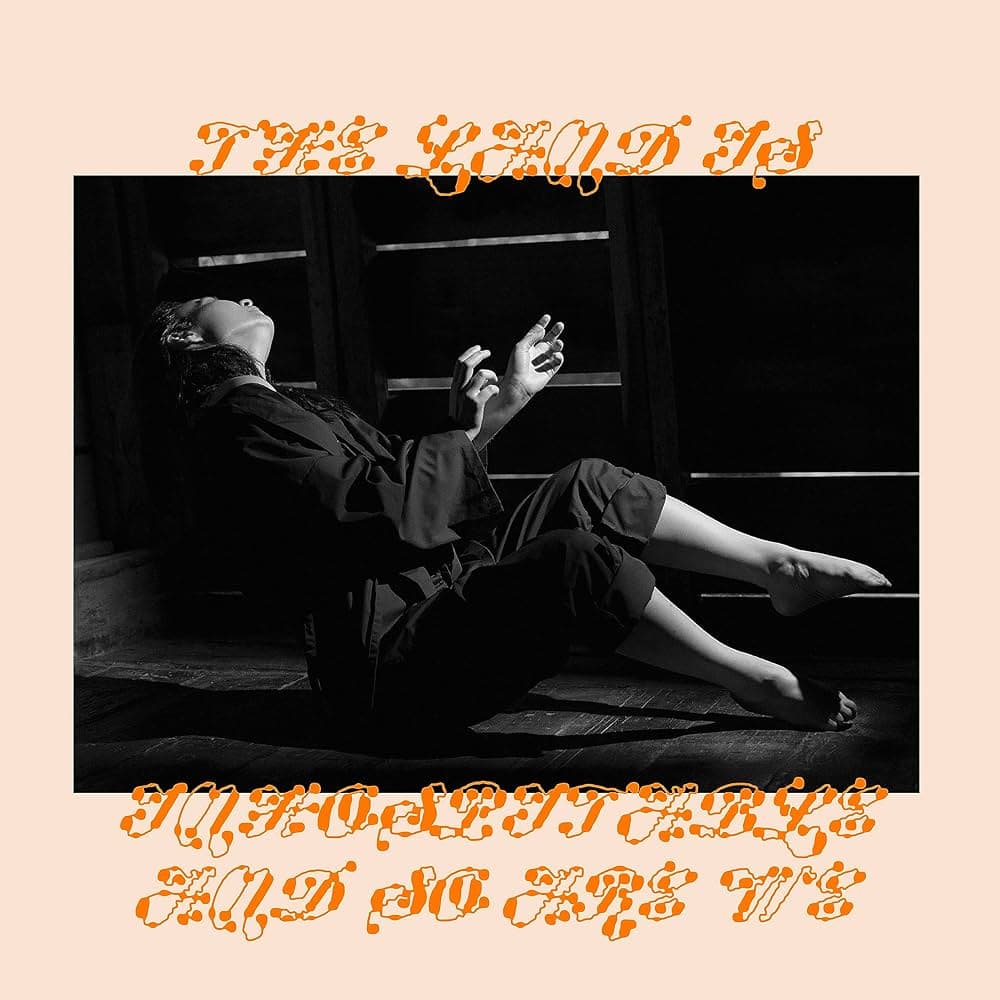The Land is Inhospitable and So Are We - Mitski