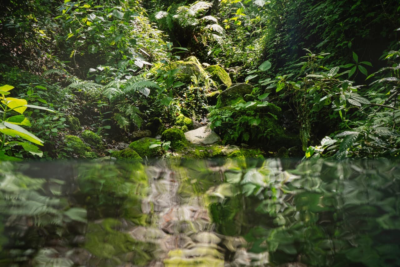 Un Ciclo Infinito – Alexandra Germán